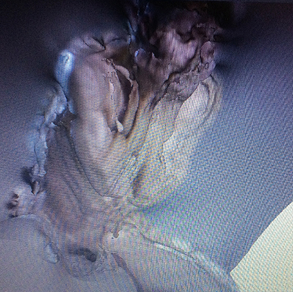 Interrupted 3D scan by artist Paul Coombs